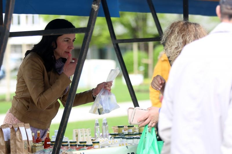 Foto: Borna Filic/PIXSELL