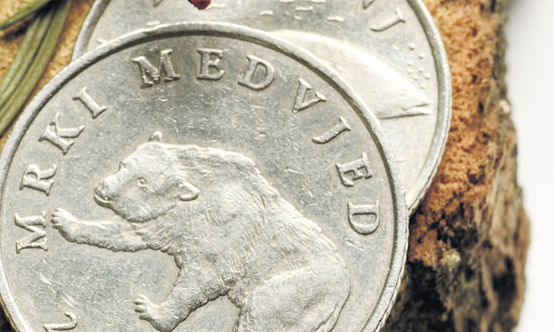 'Pročešljat' će se stari ugovori i ići u naplatu prema neredovitim platišama zakupa/FOTOLIA