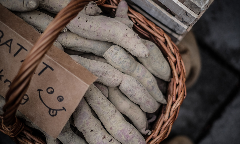 Foto: Tomislav Miletić/PIXSELL, Sanjin Kaštelan