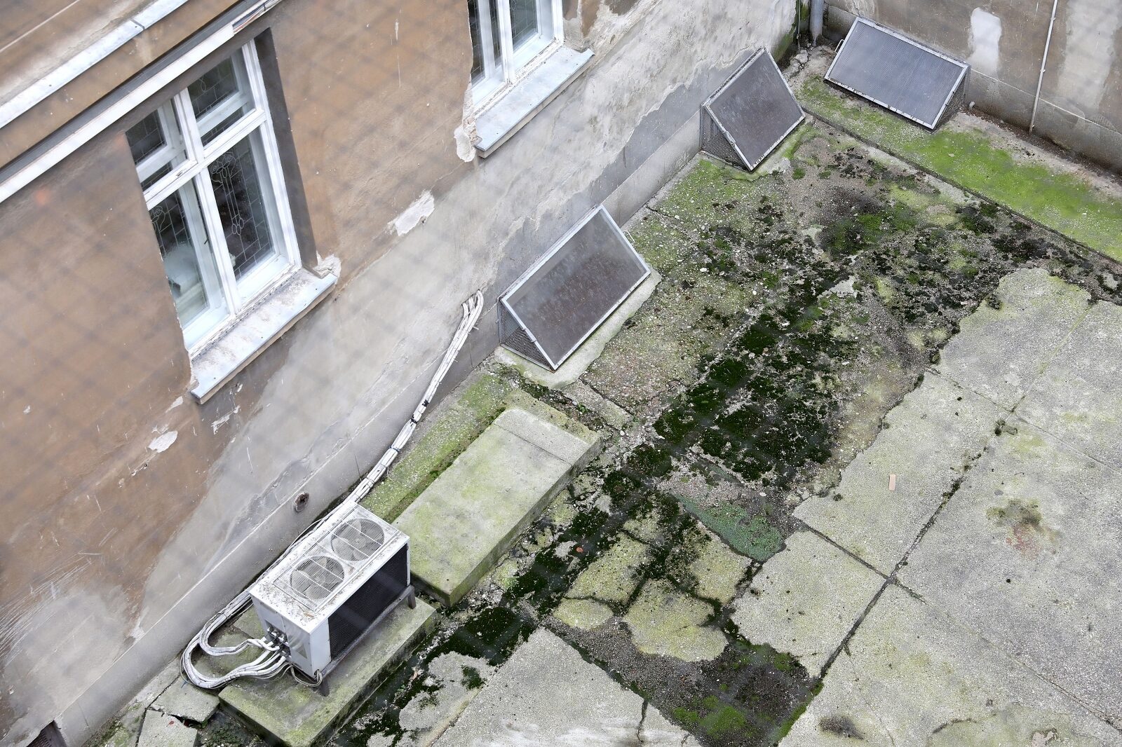 Foto: Patrik Macek/PIXSELL