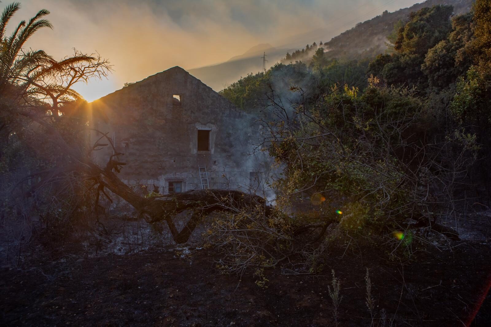 Foto: Grgo Jelavić / Pixsell