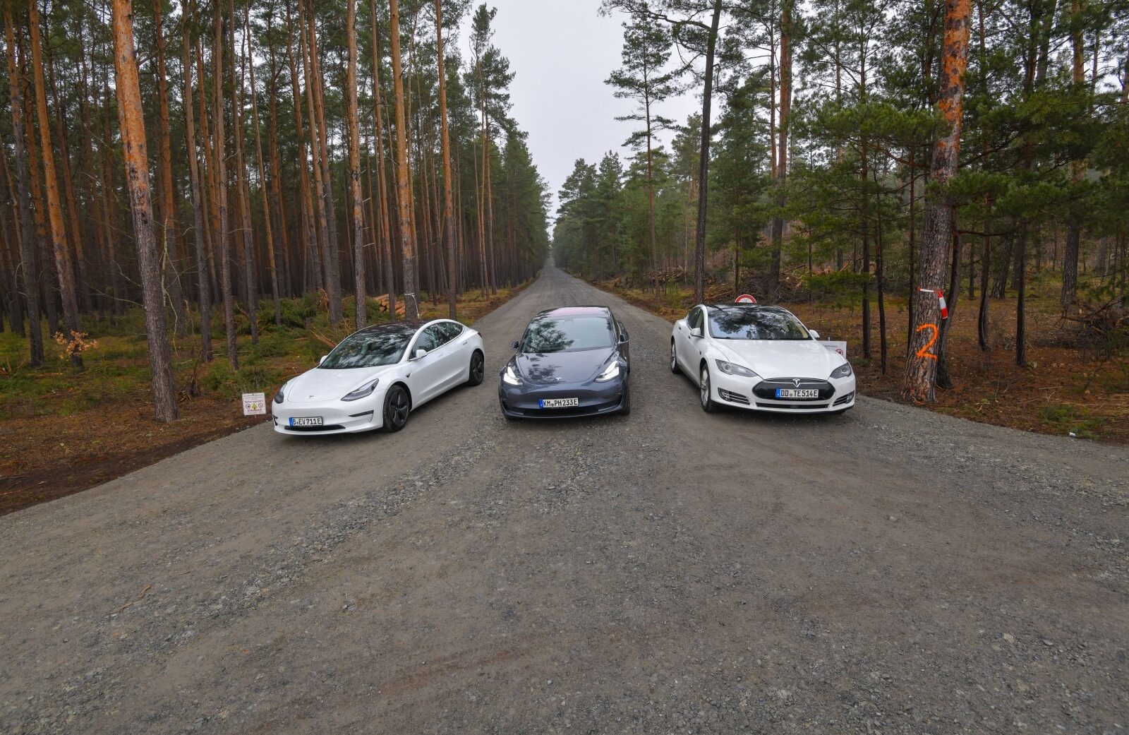 Foto: Patrick Pleul/DPA/PIXSELL