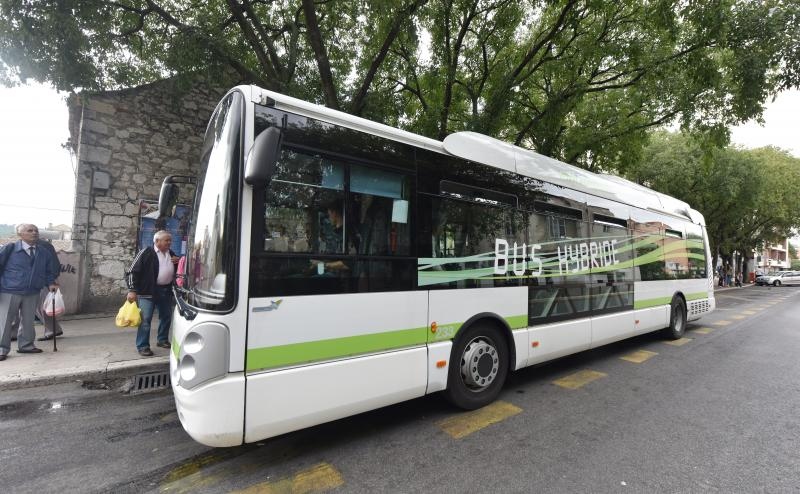 Foto: Hrvoje Jelavic/PIXSELL