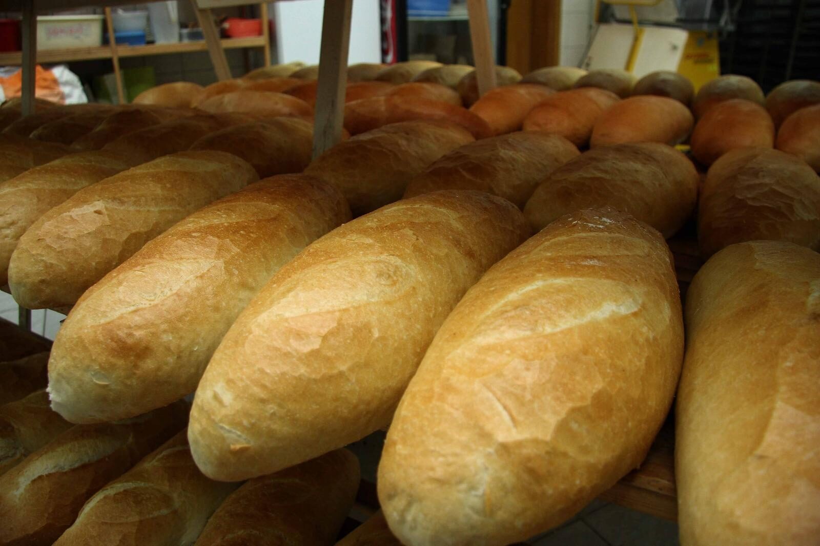 Arhivska fotografija: Pixsell