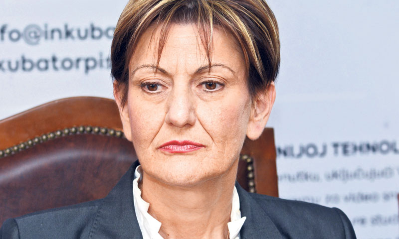 Ministrica gospodarstva Martina Dalić/Nikola Čutuk/PIXSELL