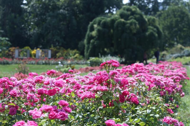 Foto: Sanjin Strukic/PIXSELL