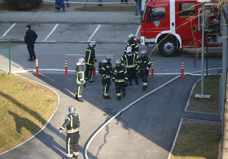 Foto: Željko Lukunić / Pixsell