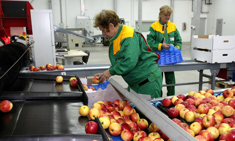 Foto: Žarko Bašić/PIXSELL