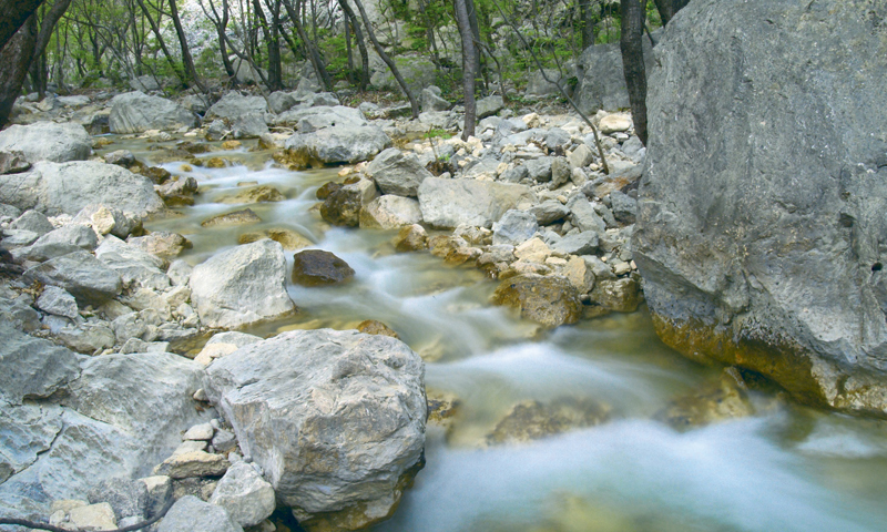 Foto: Privatni album