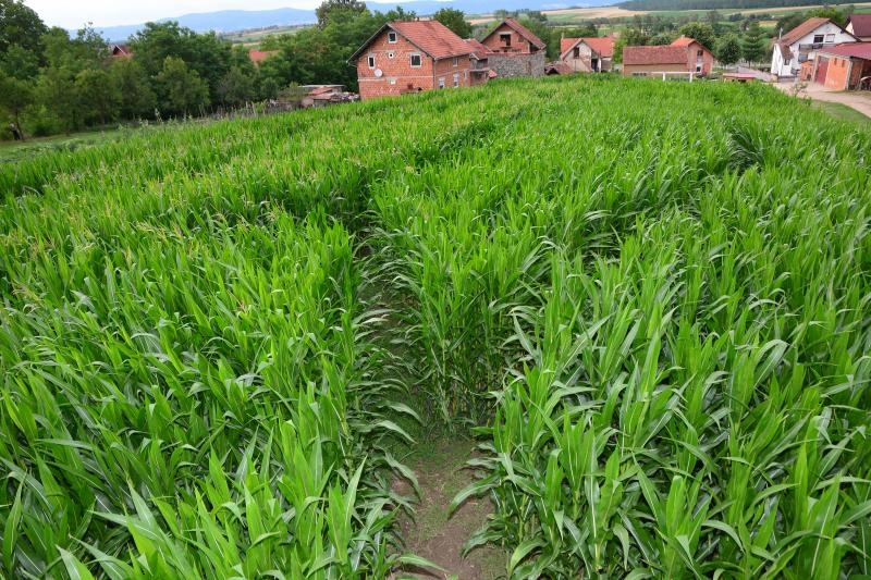 Foto: Ivica Galovic/PIXSELL