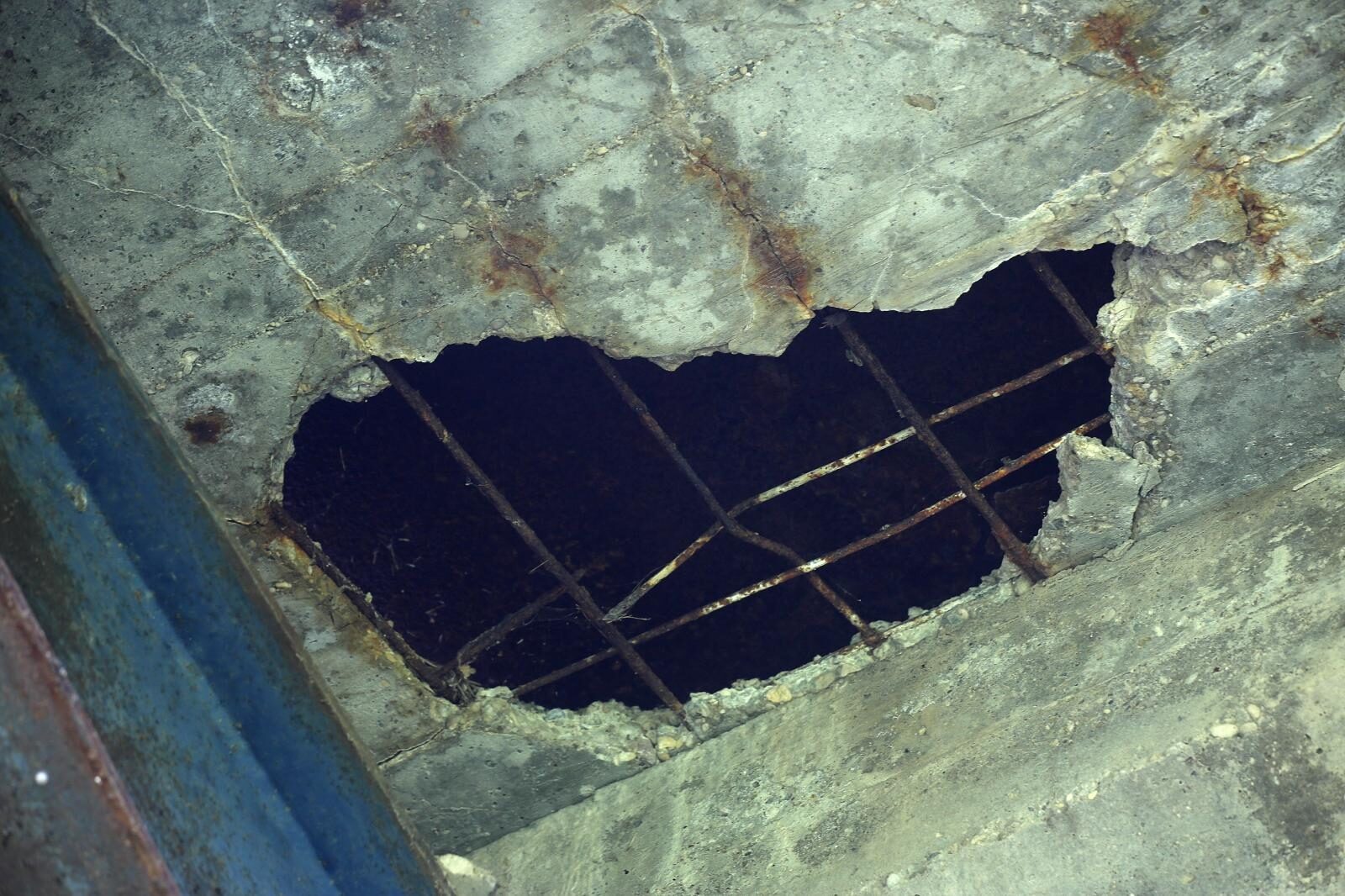 Foto: Žarko Bašić / Pixsell