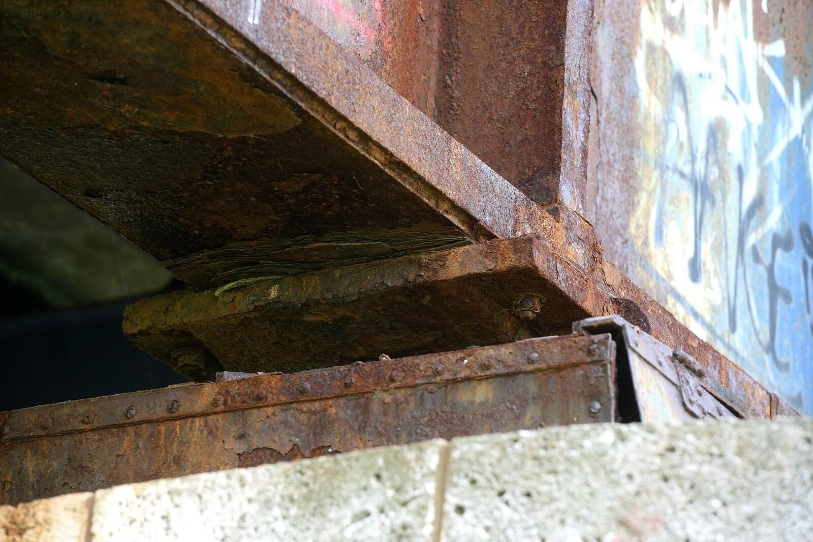 Foto: Žarko Bašić / Pixsell