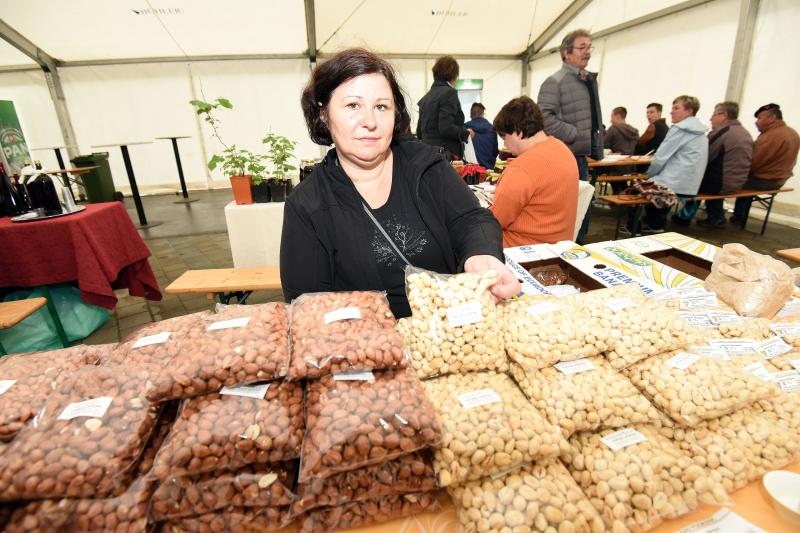 Foto: Vjeran Žganec Rogulja / Pixsell