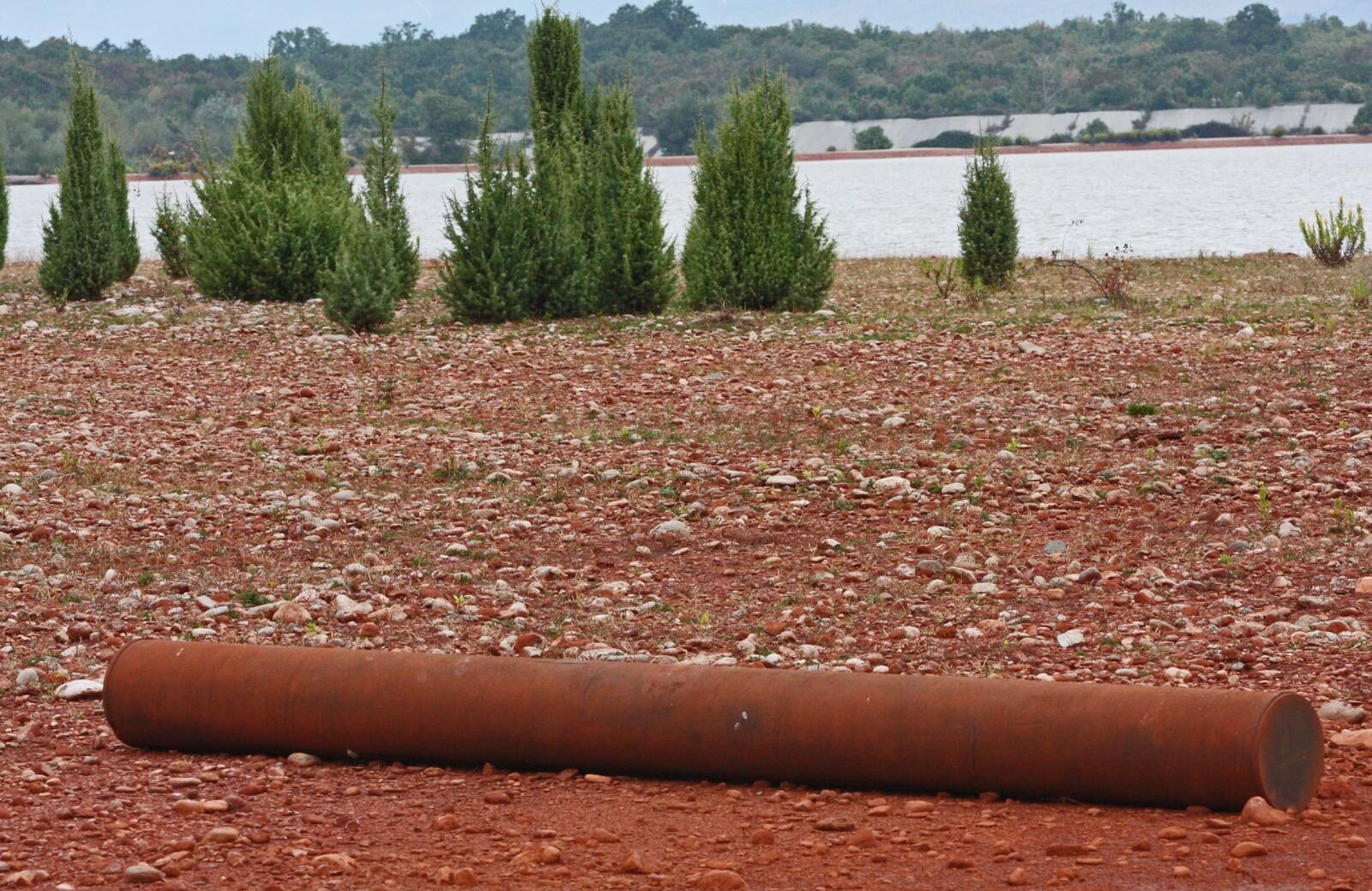 Foto: Ivana Ivanovic/PIXSELL