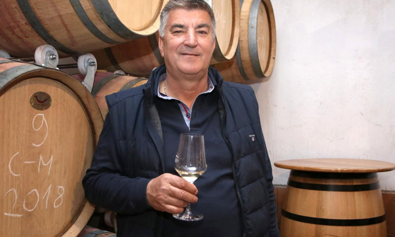 Dražan Krolo/Miranda Čikotić/PIXSELL