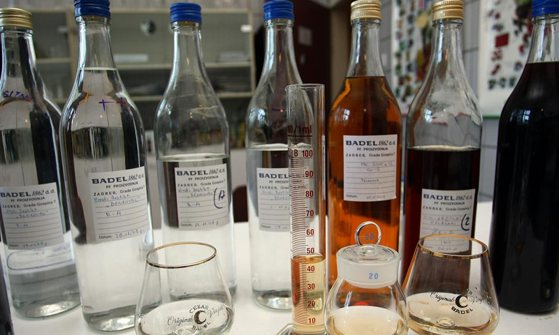 Foto: Dalibor Urukalovic/PIXSELL