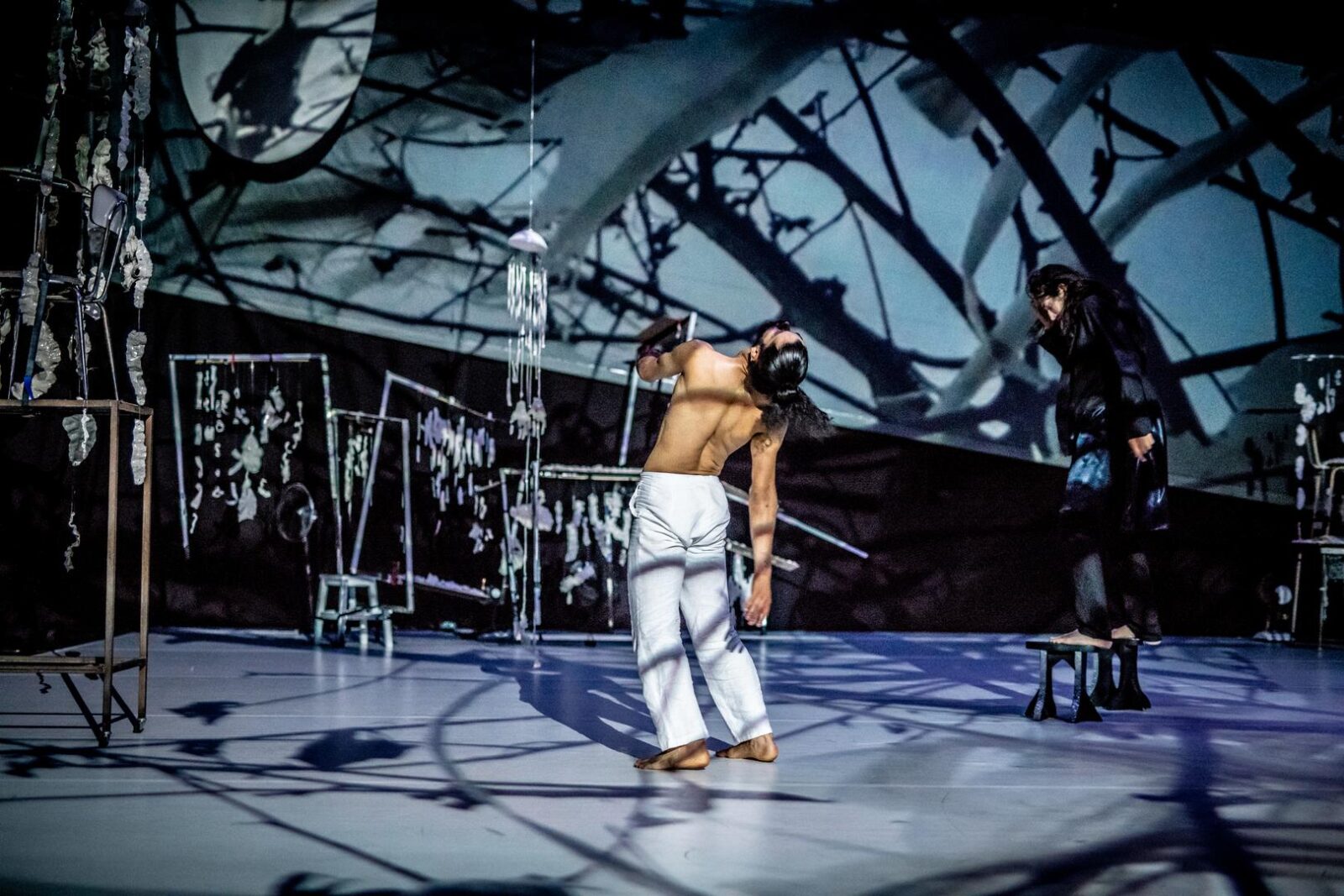 8563a5e746ef188422ed