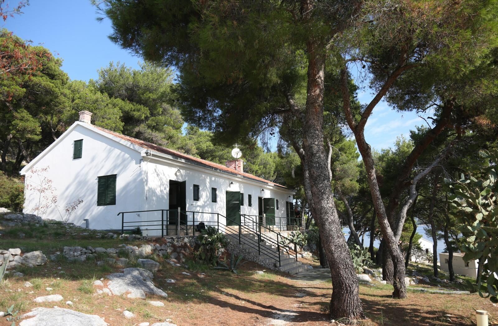 Foto: Duško Jaramaz / Pixsell