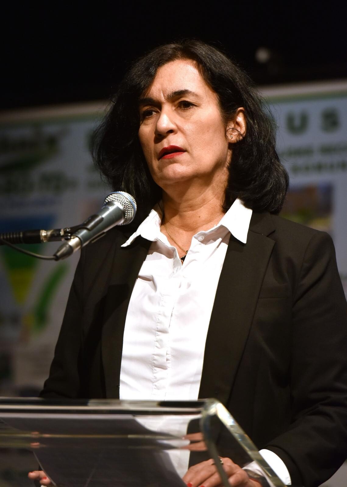 Foto: Davorin Visnjic/PIXSELL