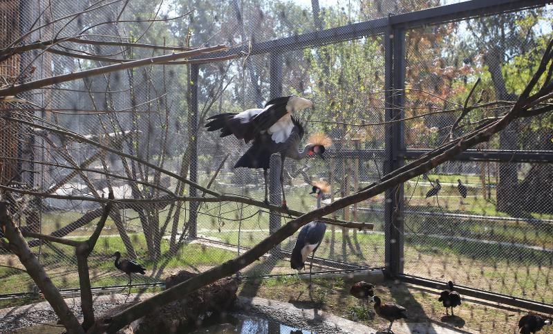 Foto: Jurica Galoić / Pixsell