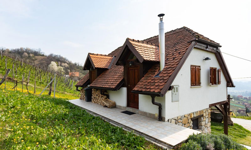 Foto: Davor Puklavec/PIXSELL