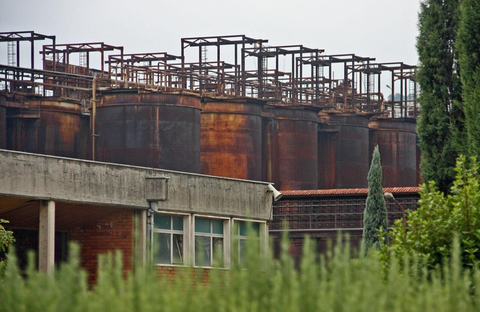 Foto: Ivana Ivanovic/PIXSELL