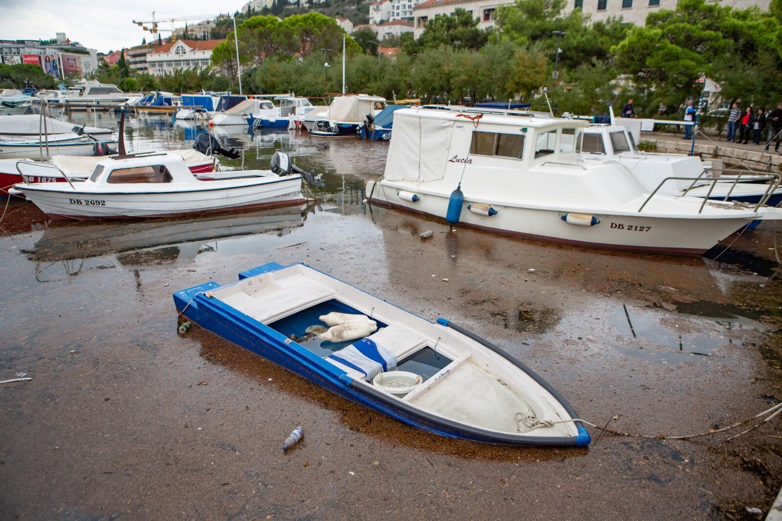 Foto: Grgo Jelavic/PIXSELL