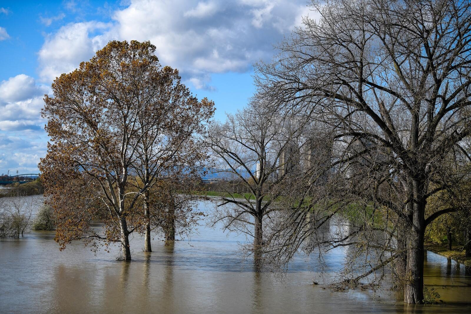 Foto: Sandra Simunovic/PIXSELL