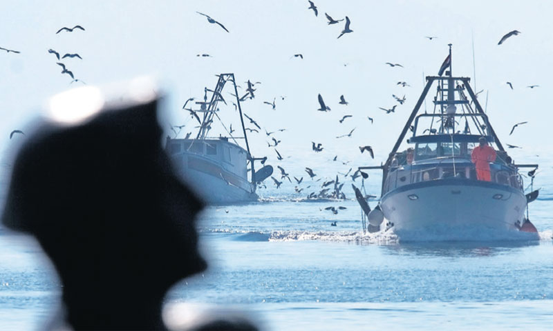 Foto: Matko Begović