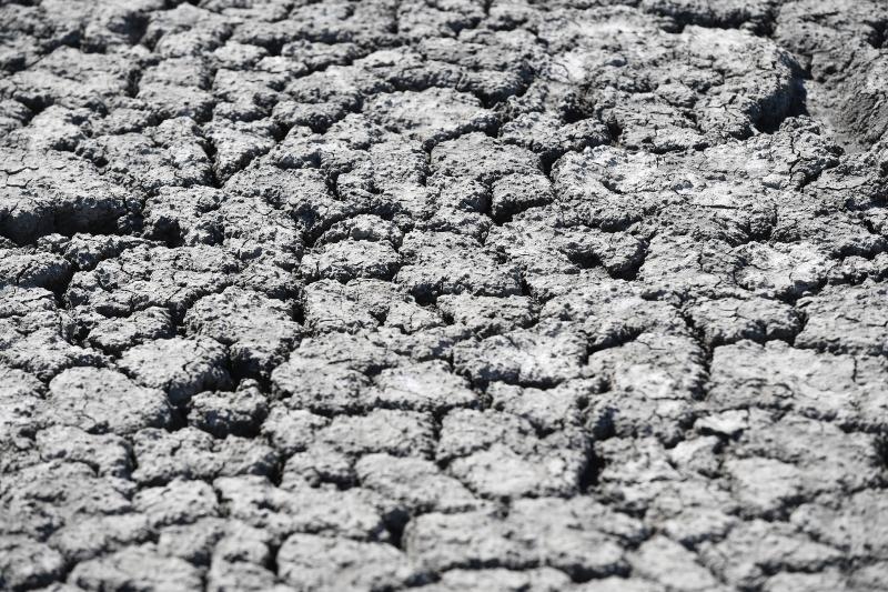 Foto: Srđan Ilić / Pixsell