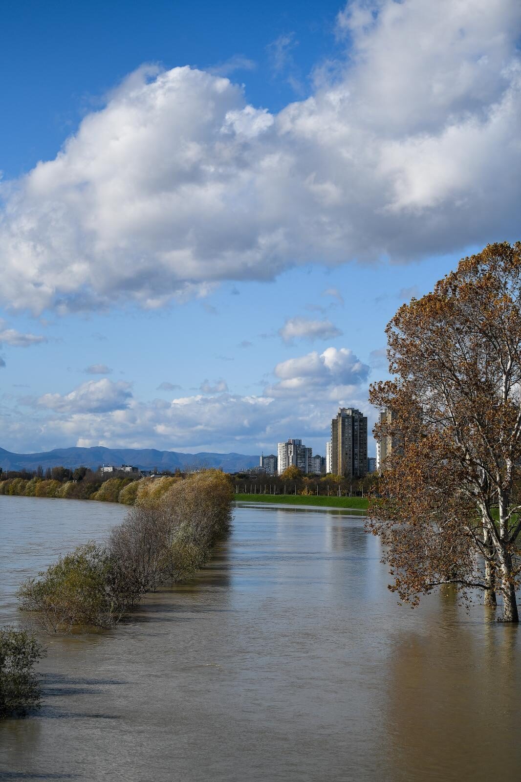 Foto: Sandra Simunovic/PIXSELL