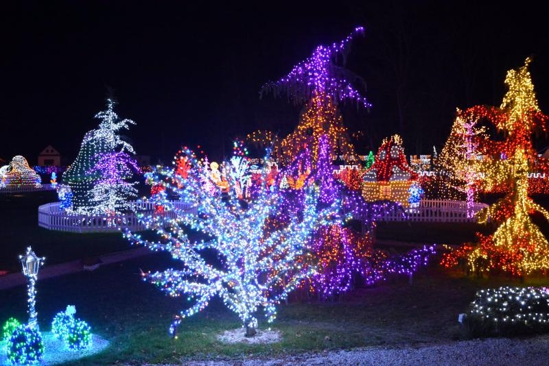 Foto: Damir Špehar / Pixsell