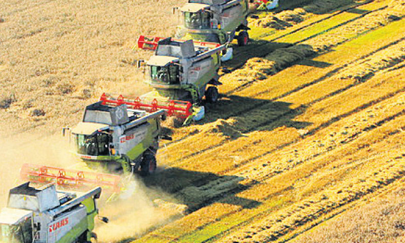 Foto: Davor Javorović/PIXSELL