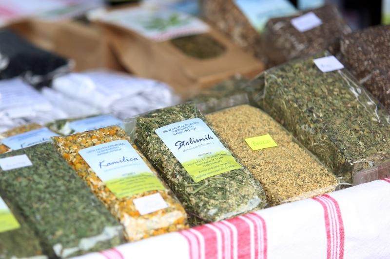 Foto: Borna Filic/PIXSELL