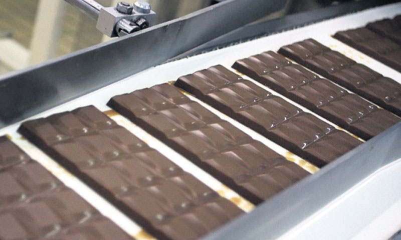 Kappa Star Limited ima 22,93% udjela tvrtke/Borna Filić/PIXSELL