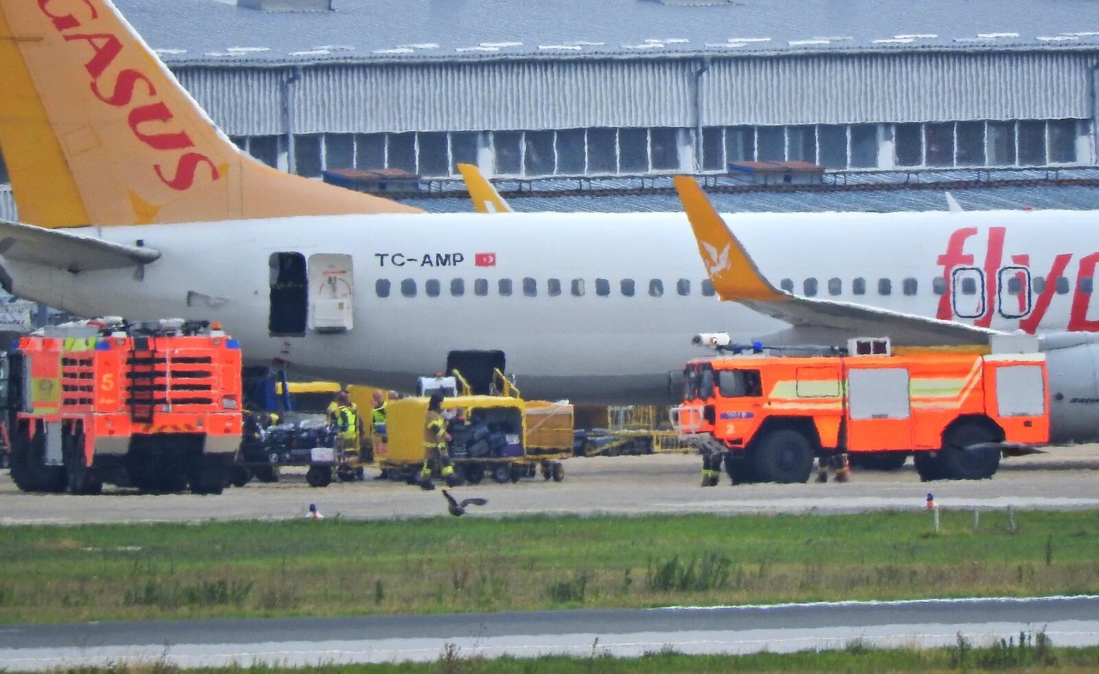 Foto: Marko Prpić / Pixsell