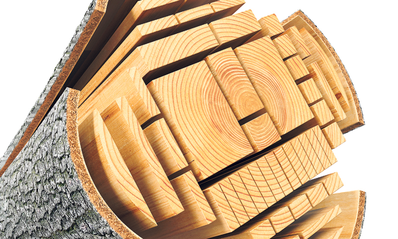 Drvna industrija i resorno Ministarstvo usuglasili se oko raspodjele trupaca/Fotolia