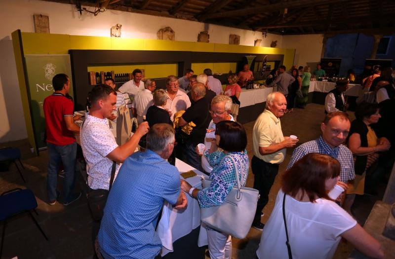 Foto: Goran Kovacic/PIXSELL