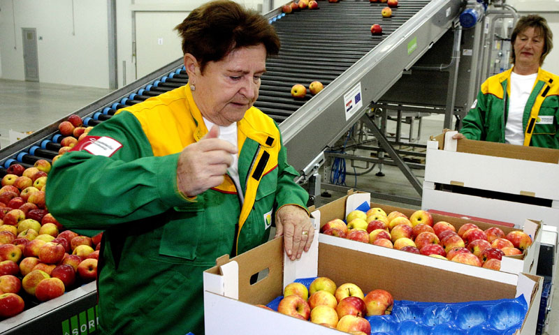 Foto: Žarko Bašić/PIXSELL