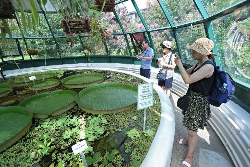 Foto: Sanjin Strukic/PIXSELL