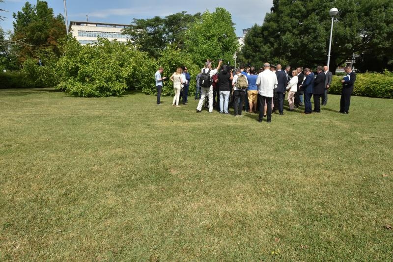 Foto: Davor Višnjić / Pixsell