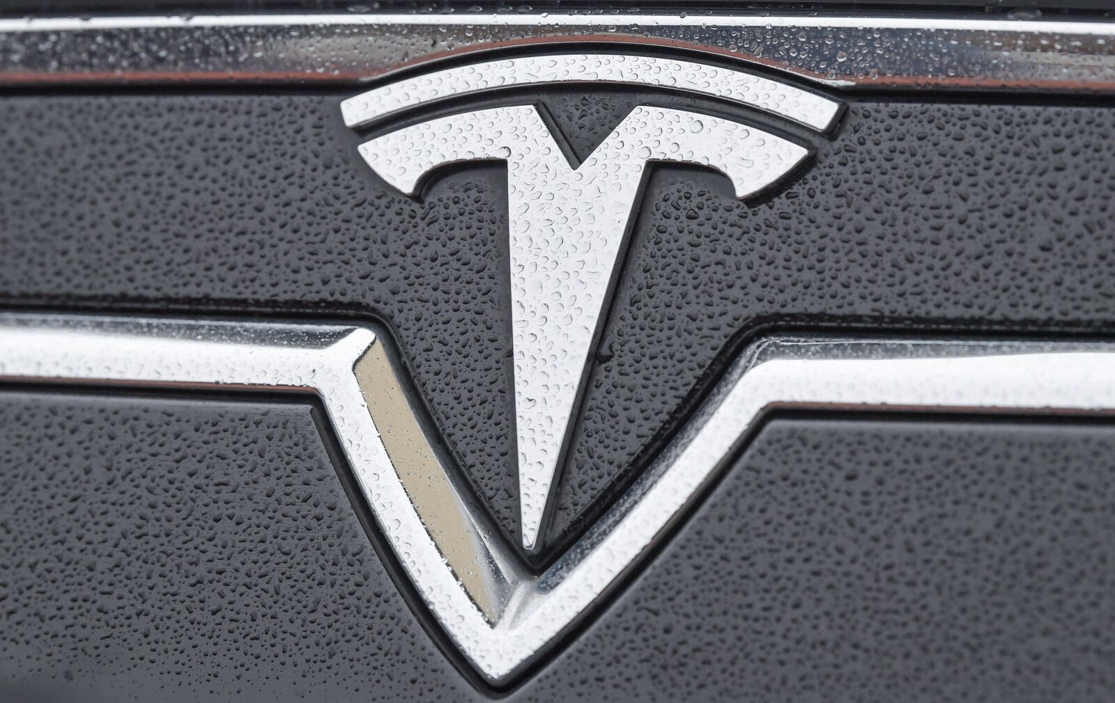 Foto: Patrick Pleul/DPA/PIXSELL