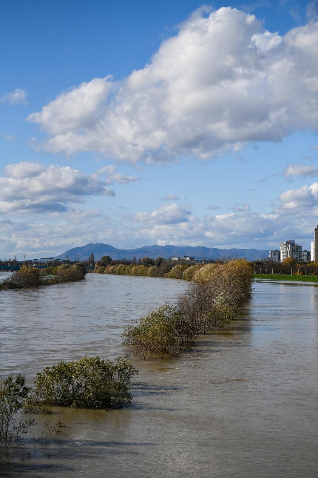 Foto: Sandra Simunovic/PIXSELL