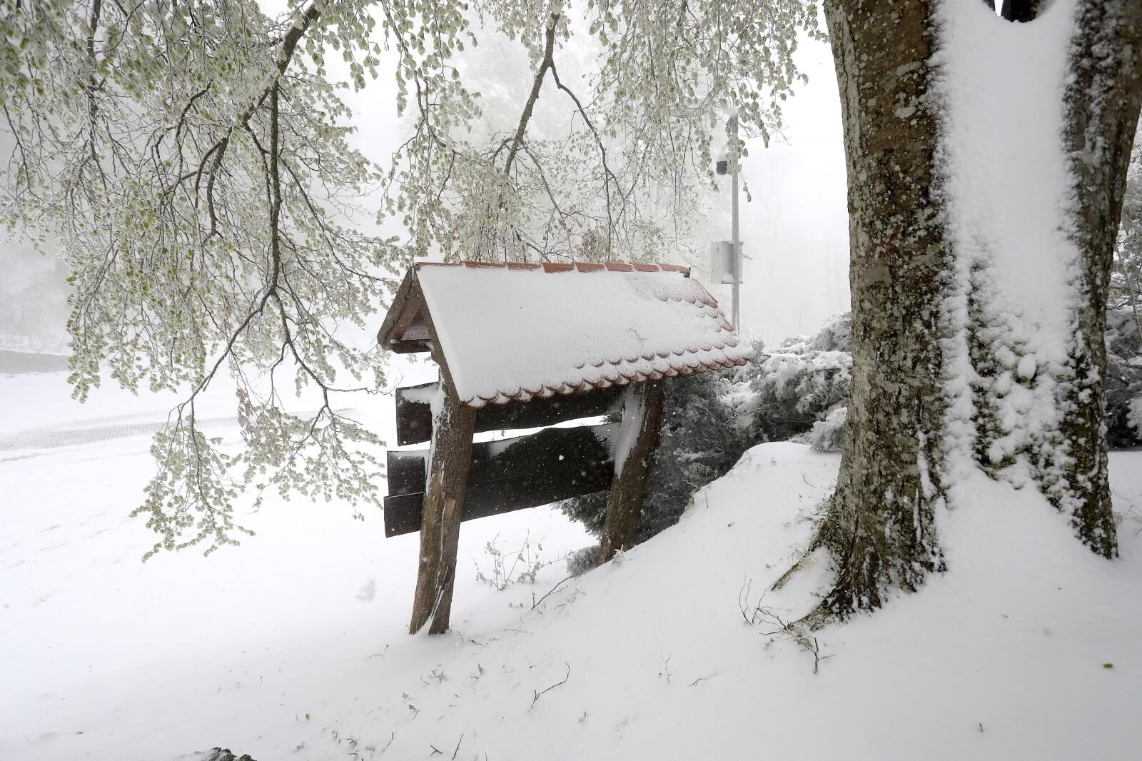 Foto: Patrik Macek/PIXSELL