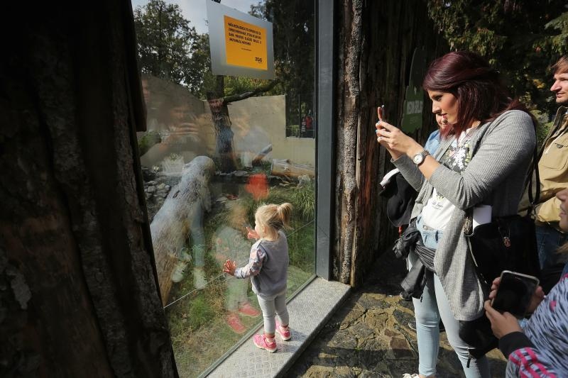 Foto: Tomislav Miletić / Pixsell