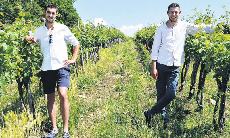 Marko i Luka Rossi u novom vinogradu smještenom pokraj Brtonigle