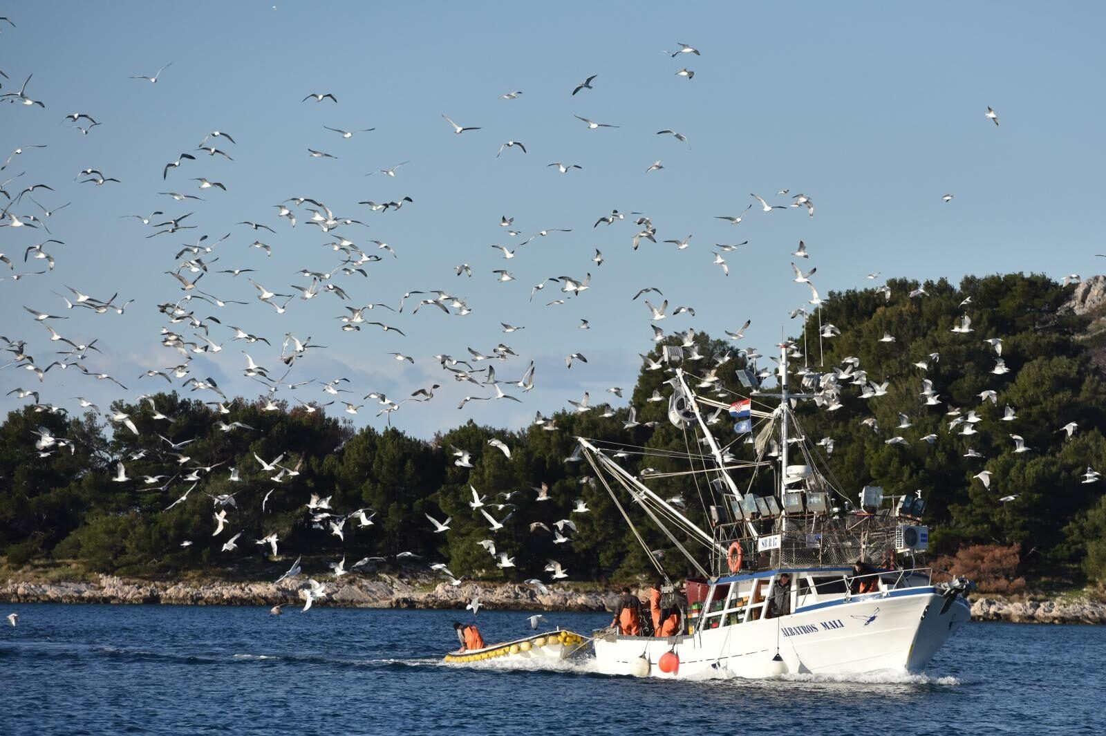 Foto: Hrvoje Jelavić / Pixsell