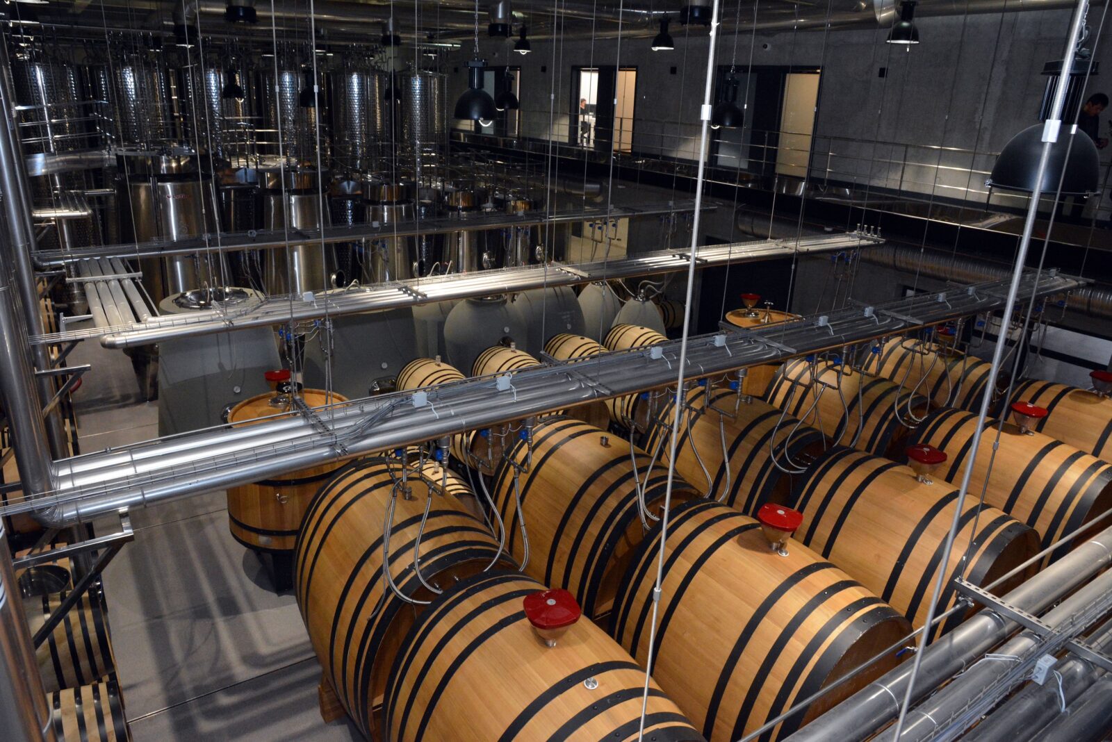 Foto: Ivica Galovic/PIXSELL