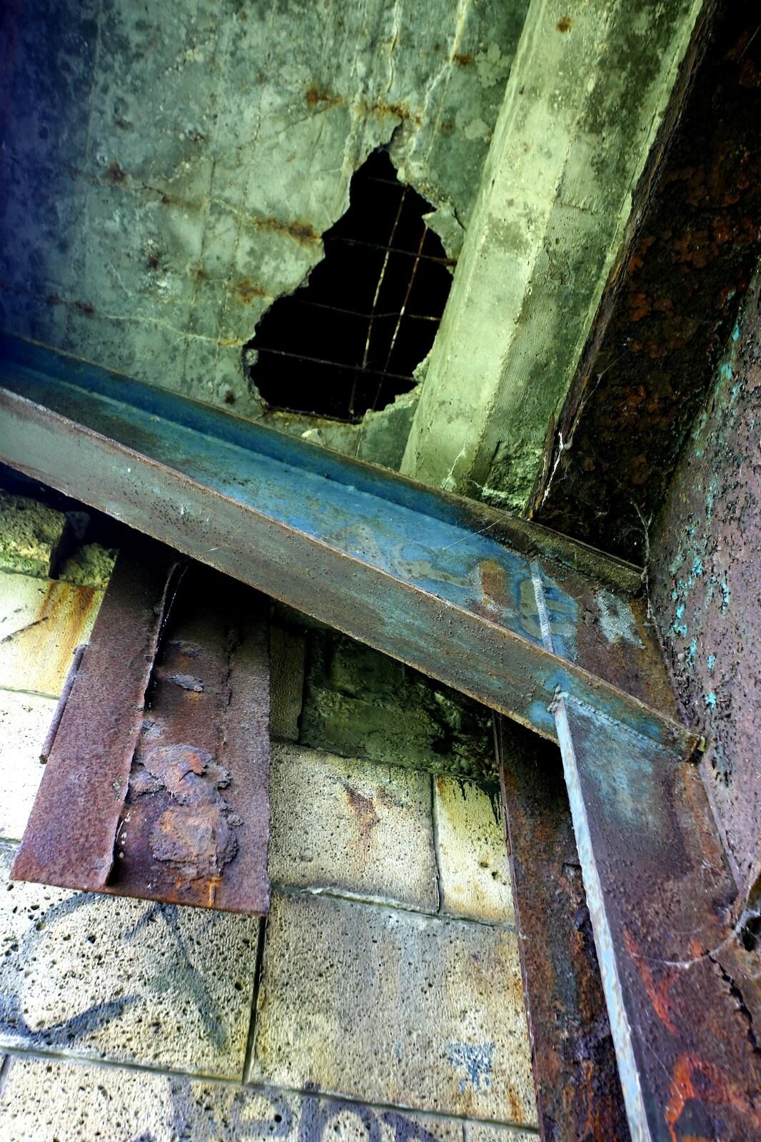 Foto: Žarko Bašić / Pixsell