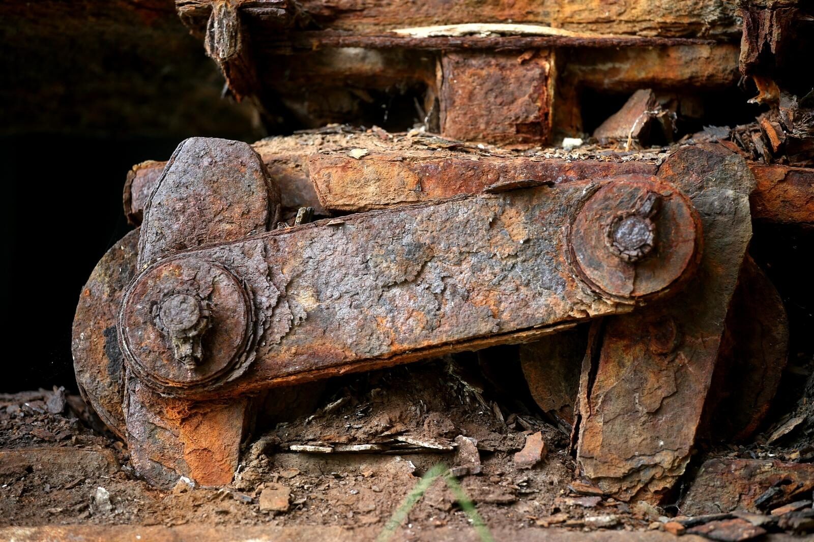 Foto: Žarko Bašić / Pixsell